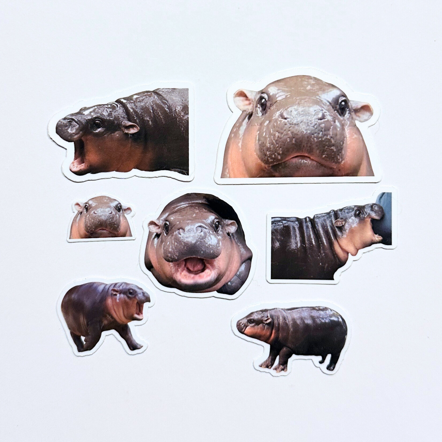 Moo Deng Sticker Pack