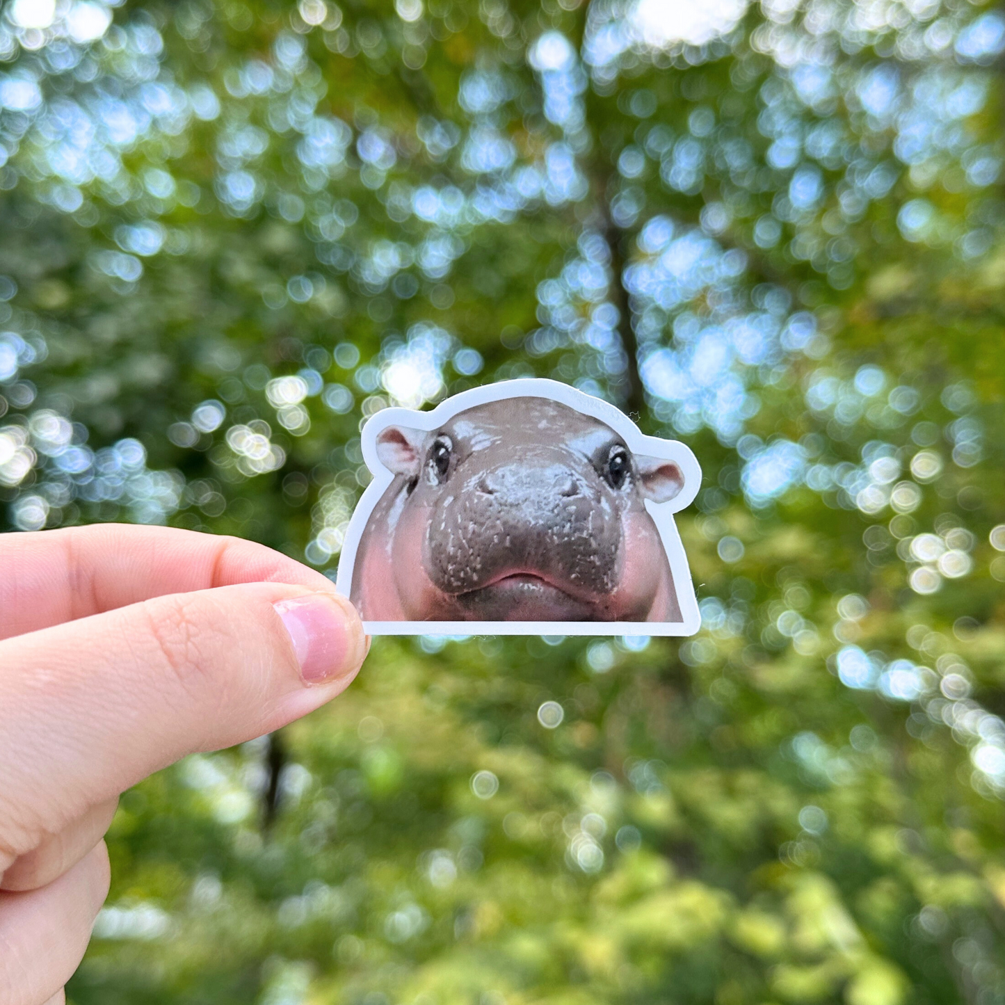 Moo Deng Sticker Pack