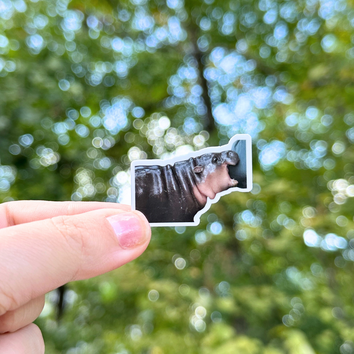 Moo Deng Sticker Pack