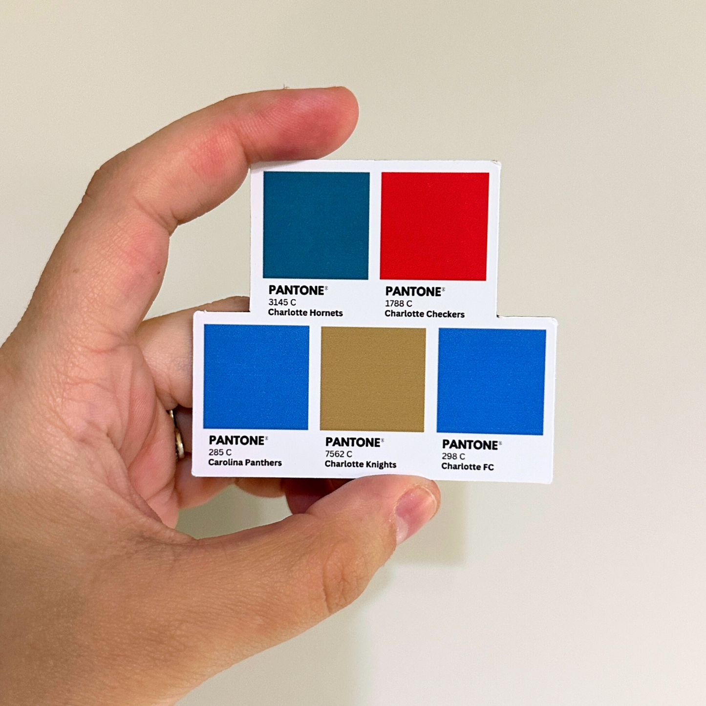 Charlotte Sports Colors Sticker