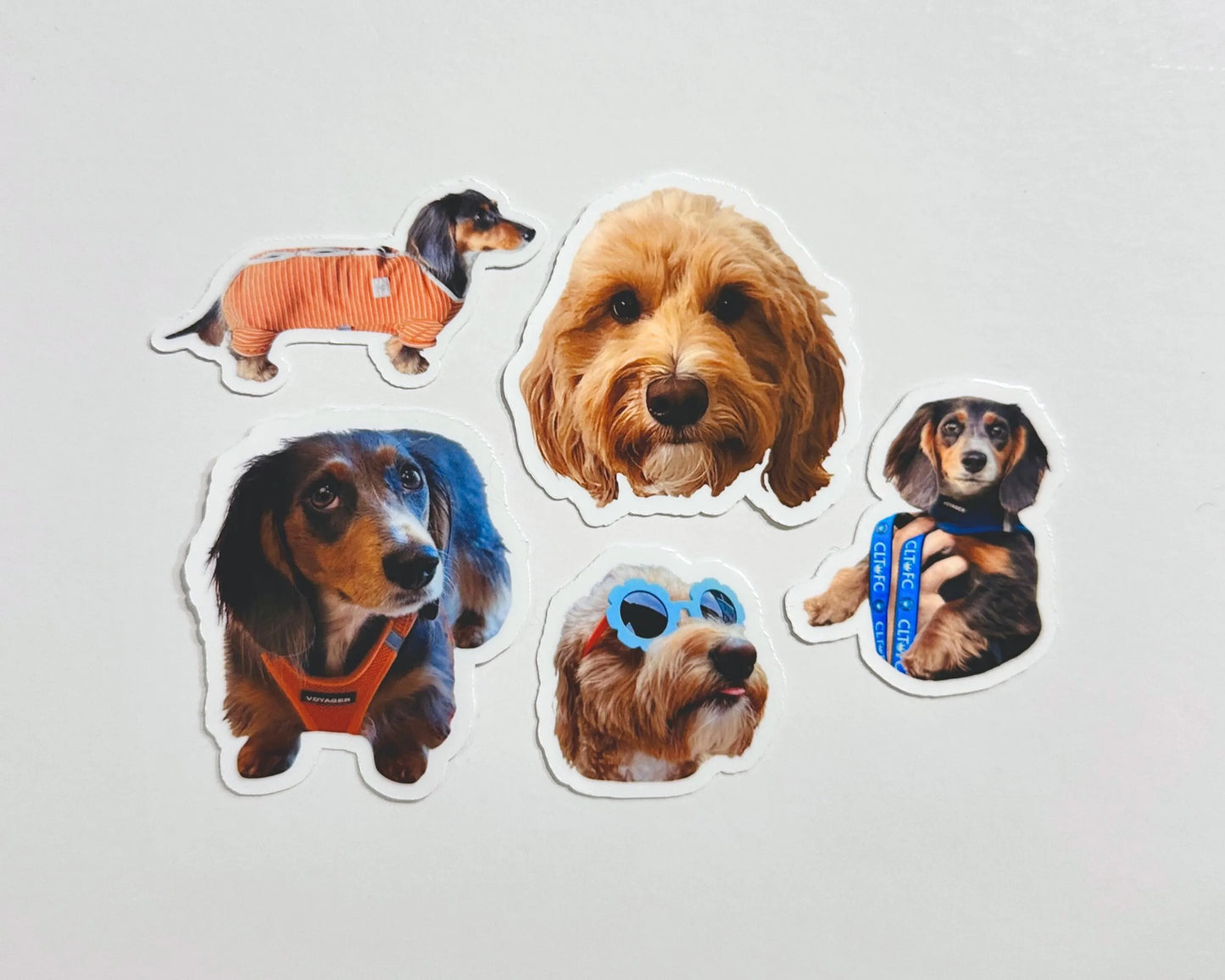 Custom Pet Photo Stickers
