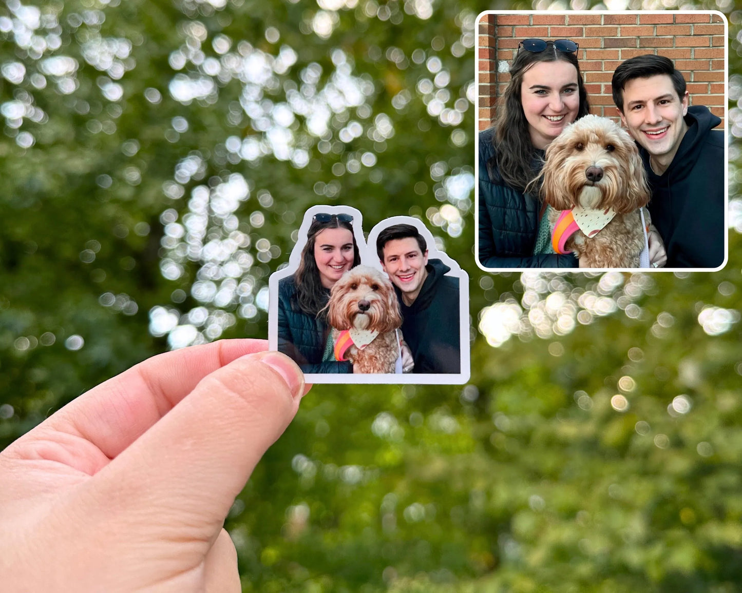 Custom Pet Photo Stickers