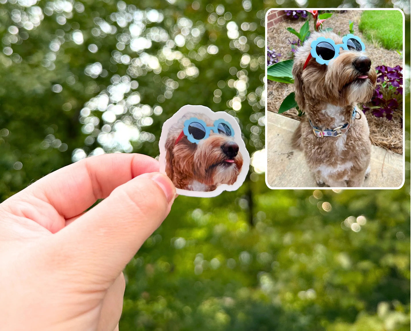 Custom Pet Photo Stickers