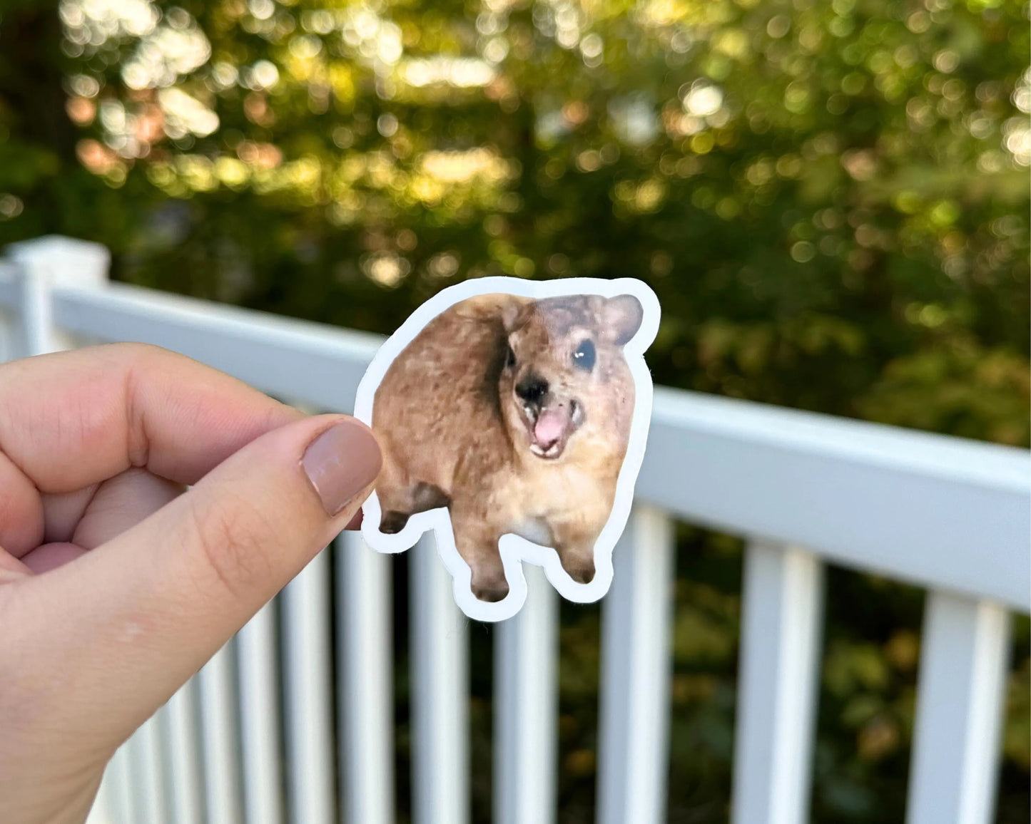 Hyrax Sticker