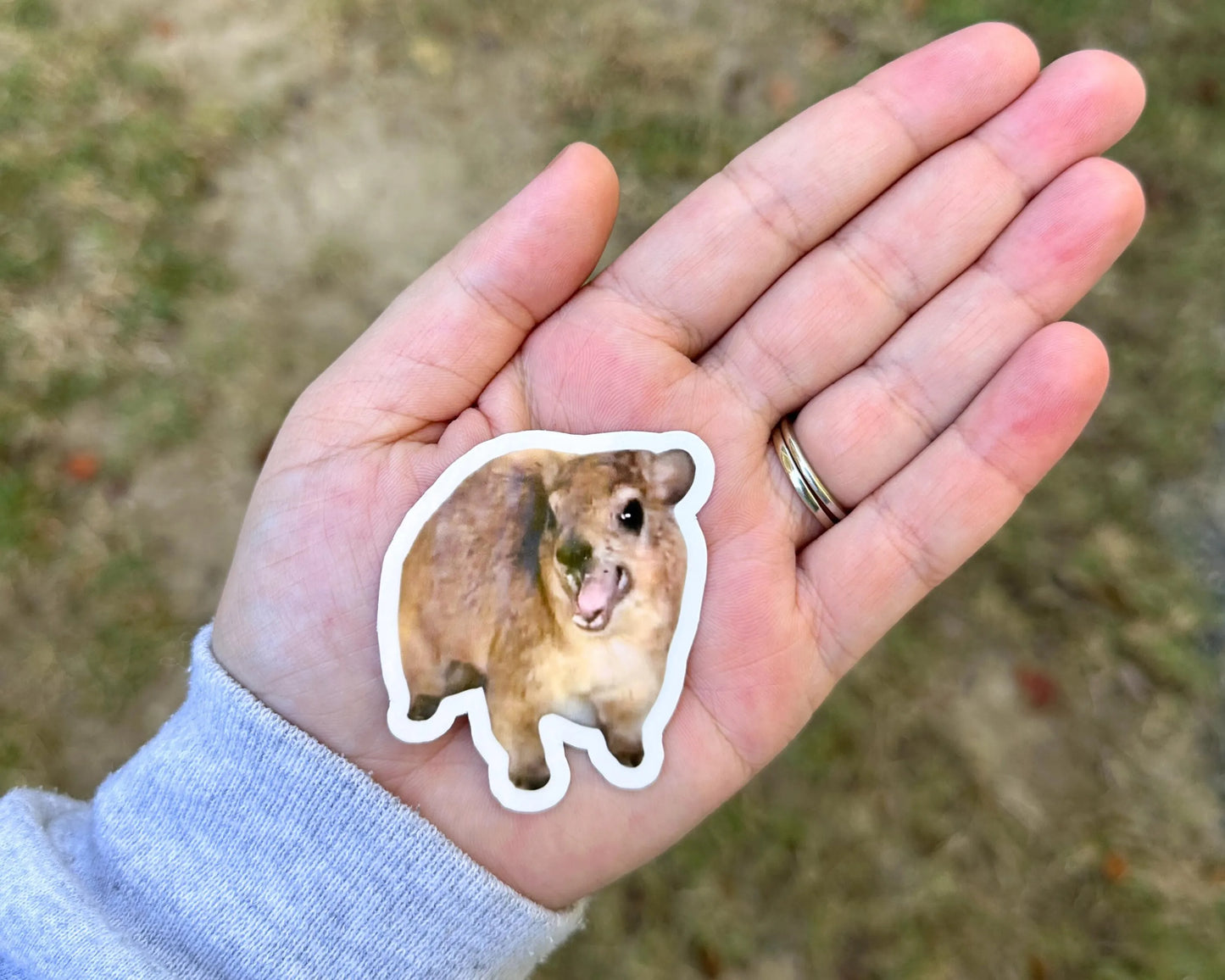 Hyrax Sticker
