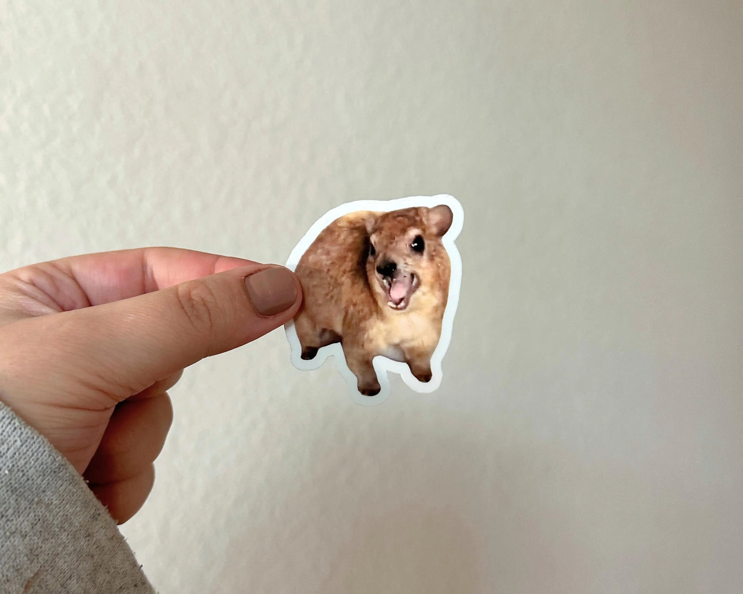Hyrax Sticker