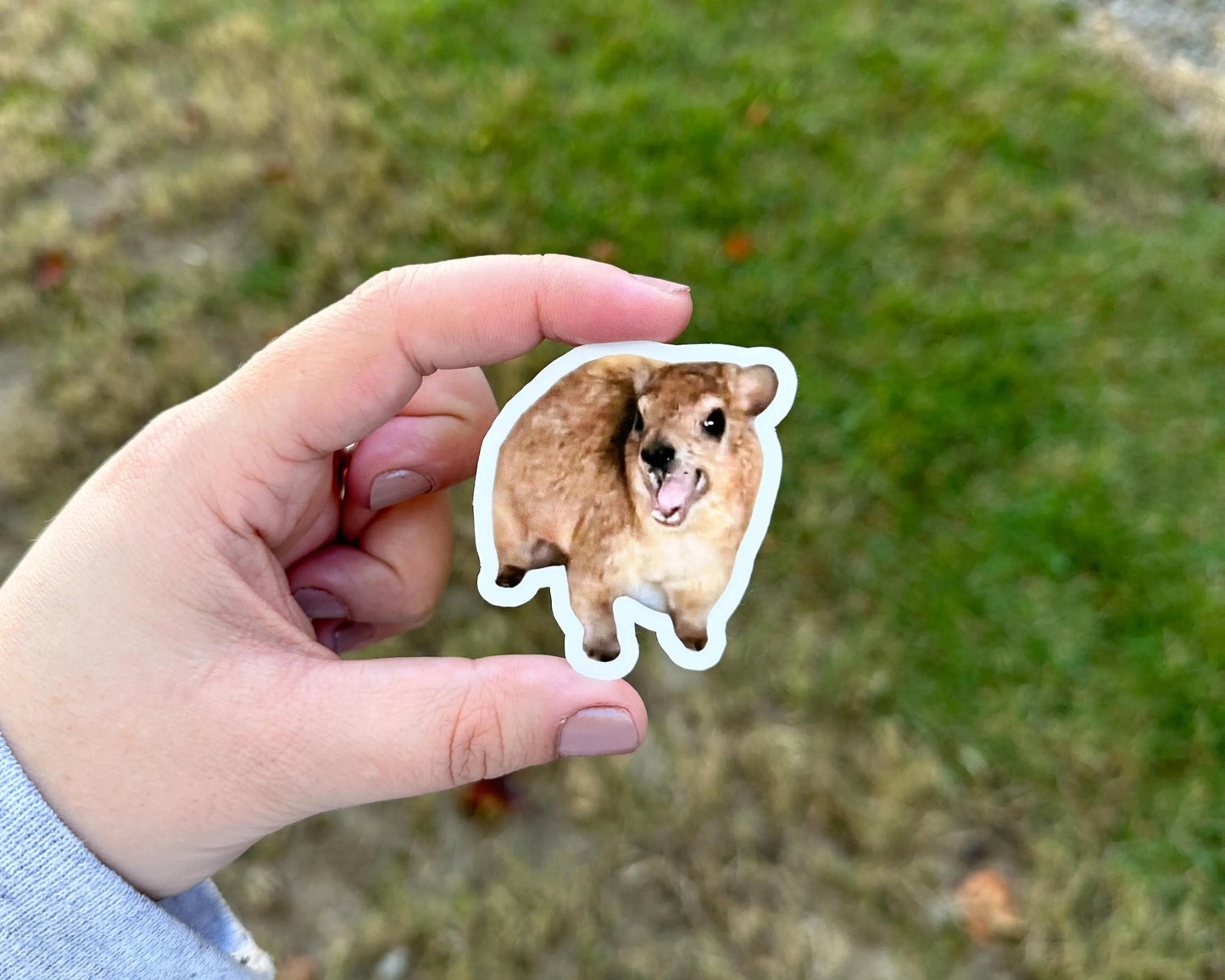 Hyrax Sticker