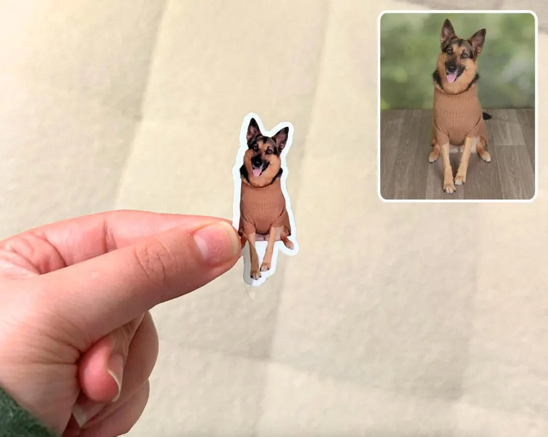 Custom Pet Photo Stickers