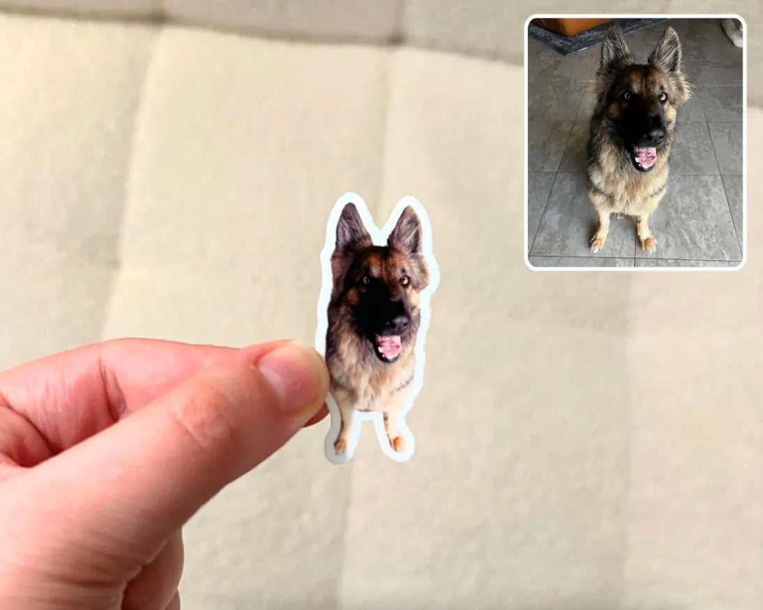 Custom Pet Photo Stickers