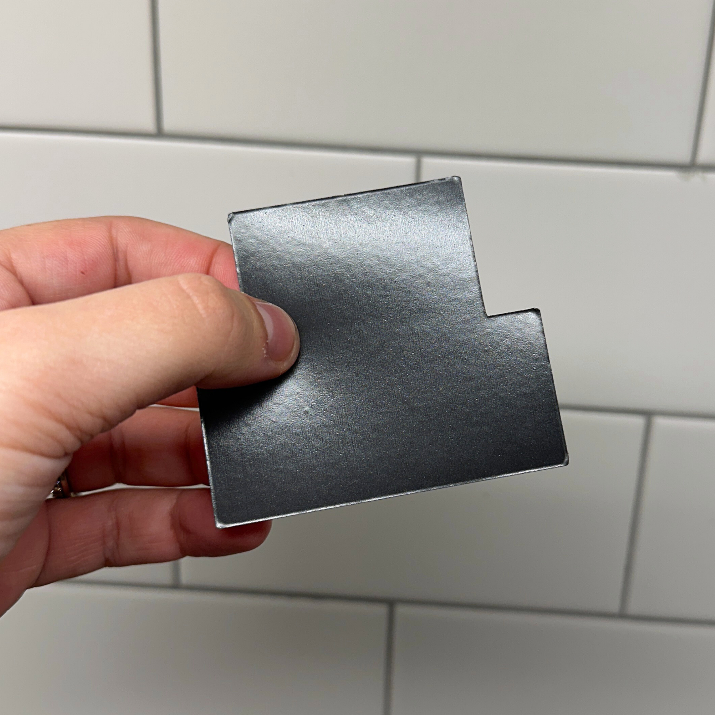 Charlotte Sports Colors Magnet