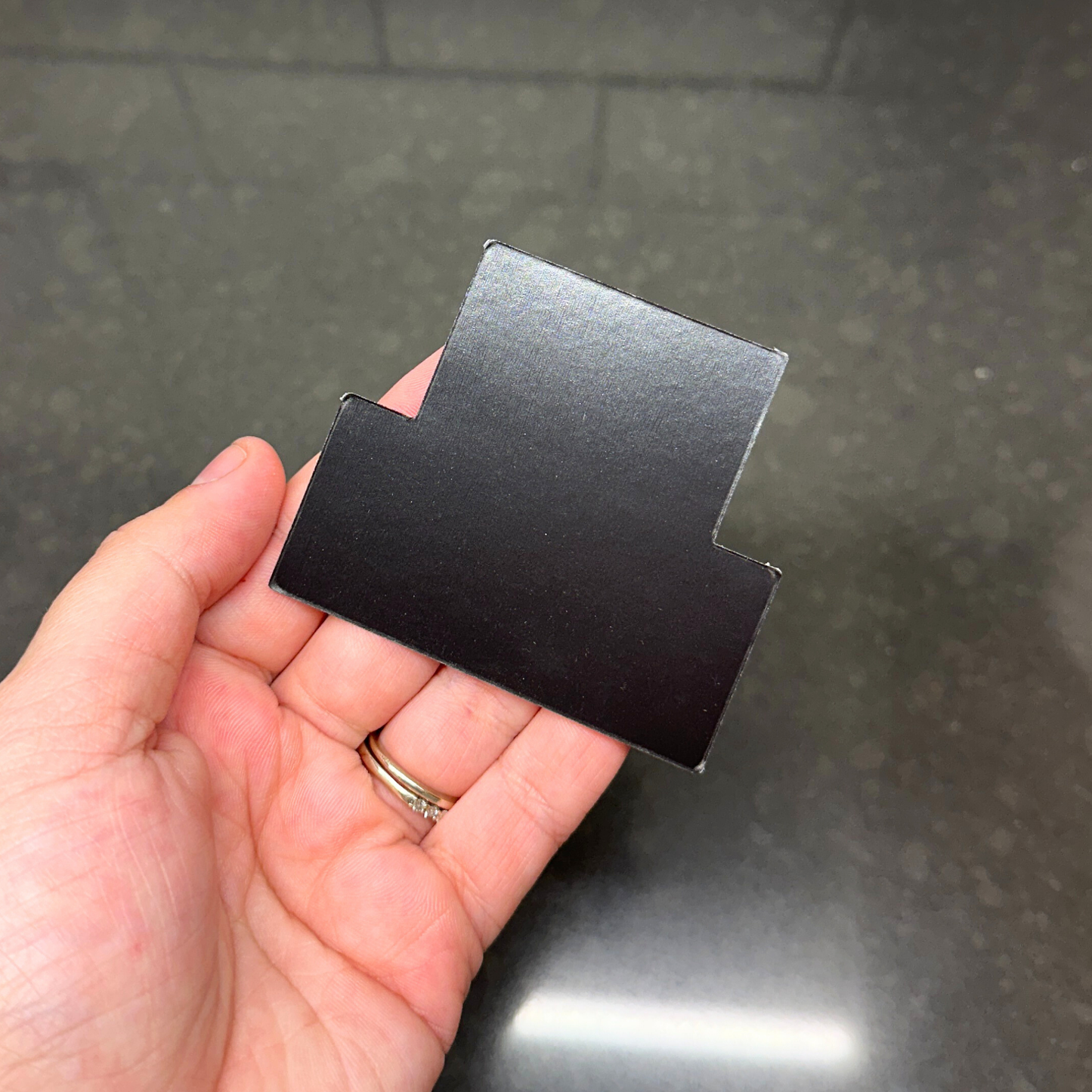 Charlotte Sports Colors Magnet