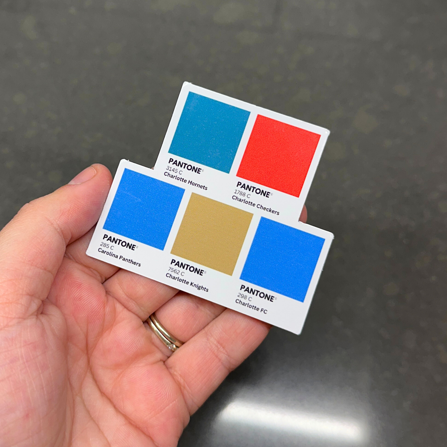 Charlotte Sports Colors Magnet