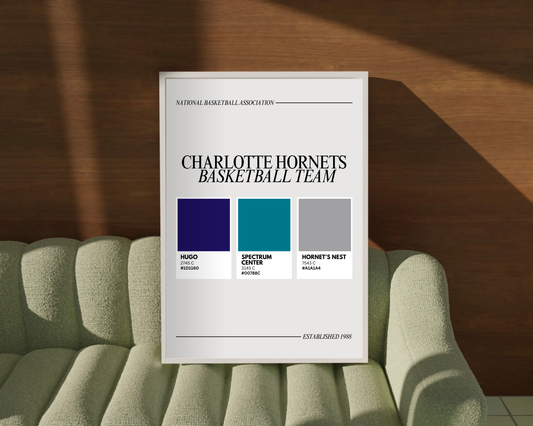 Charlotte Sports Colors Print
