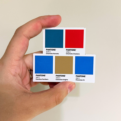 Charlotte Sports Colors Magnet