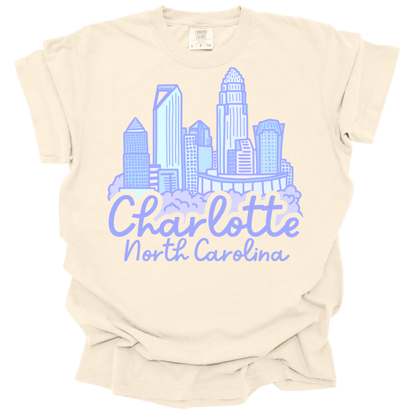 Purple Charlotte Skyline Tee