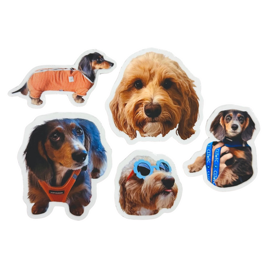 Custom Pet Photo Stickers