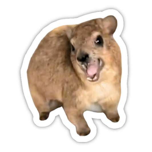 Hyrax Sticker