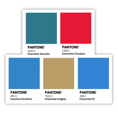 Charlotte Sports Colors Magnet