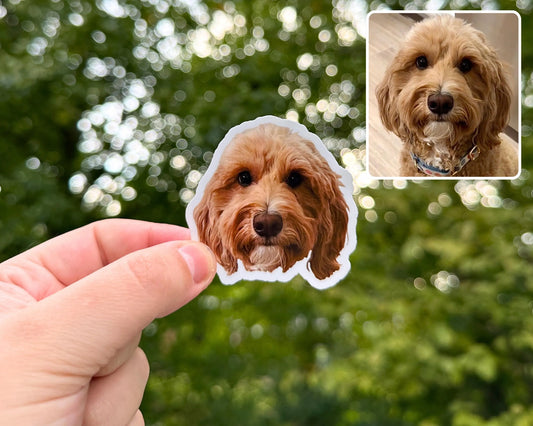 Custom Pet Photo Stickers