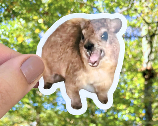 Hyrax Sticker
