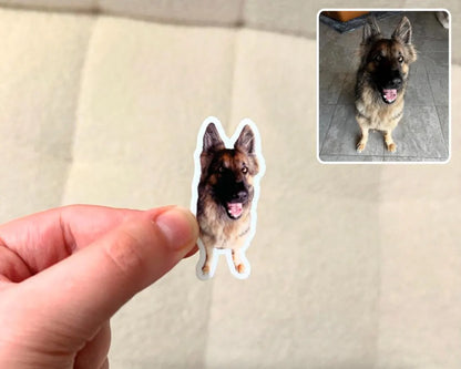Custom Pet Photo Stickers